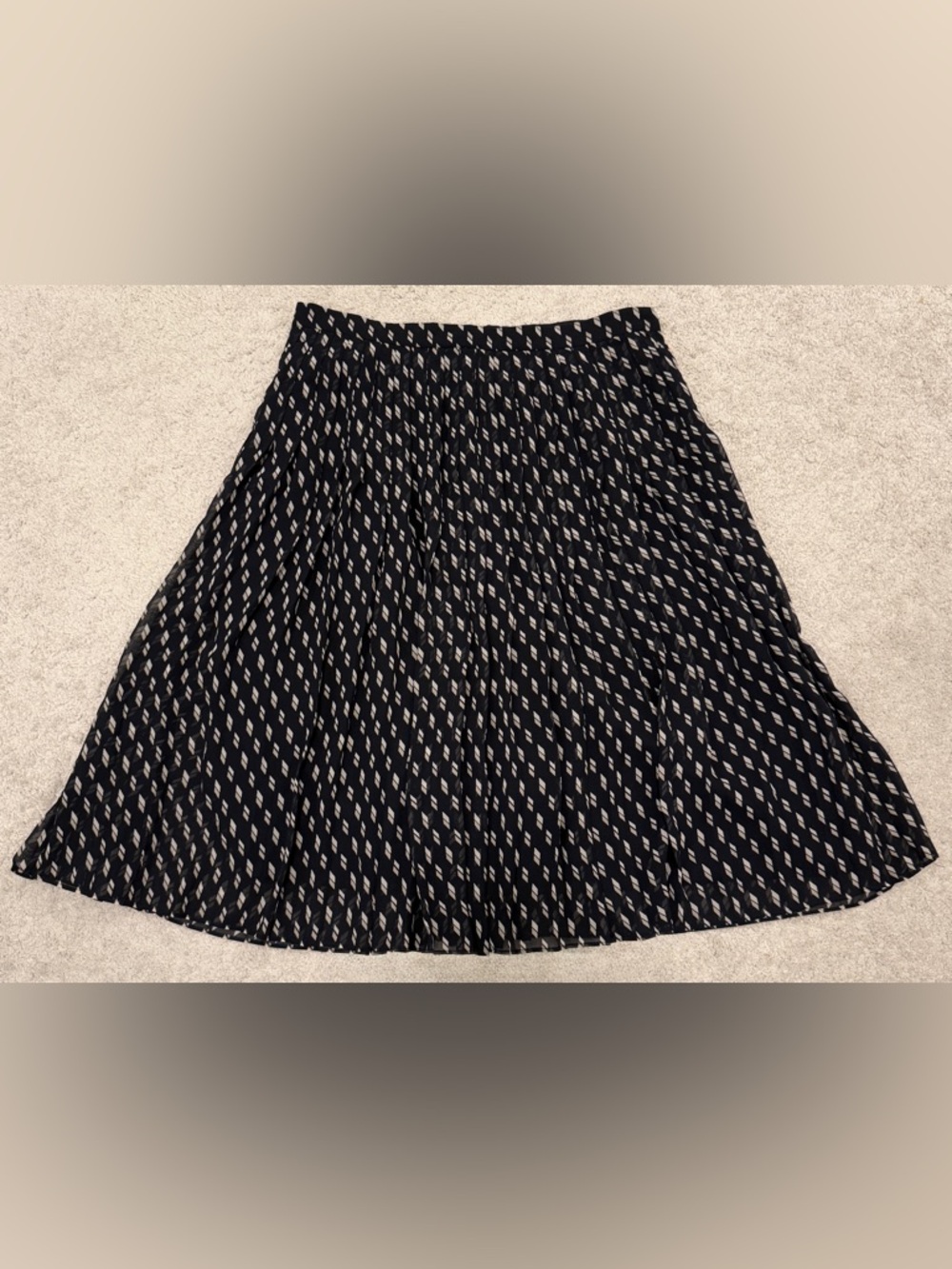 Ann Taylor Navy and Cream Printed Pleated Circle Skirt